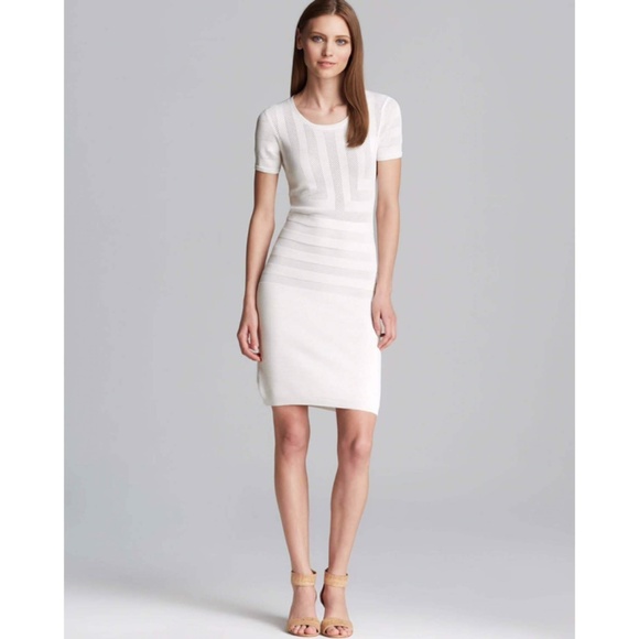 French Connection Dresses & Skirts - SOLD French Connection Montana Muse Sweater Dress